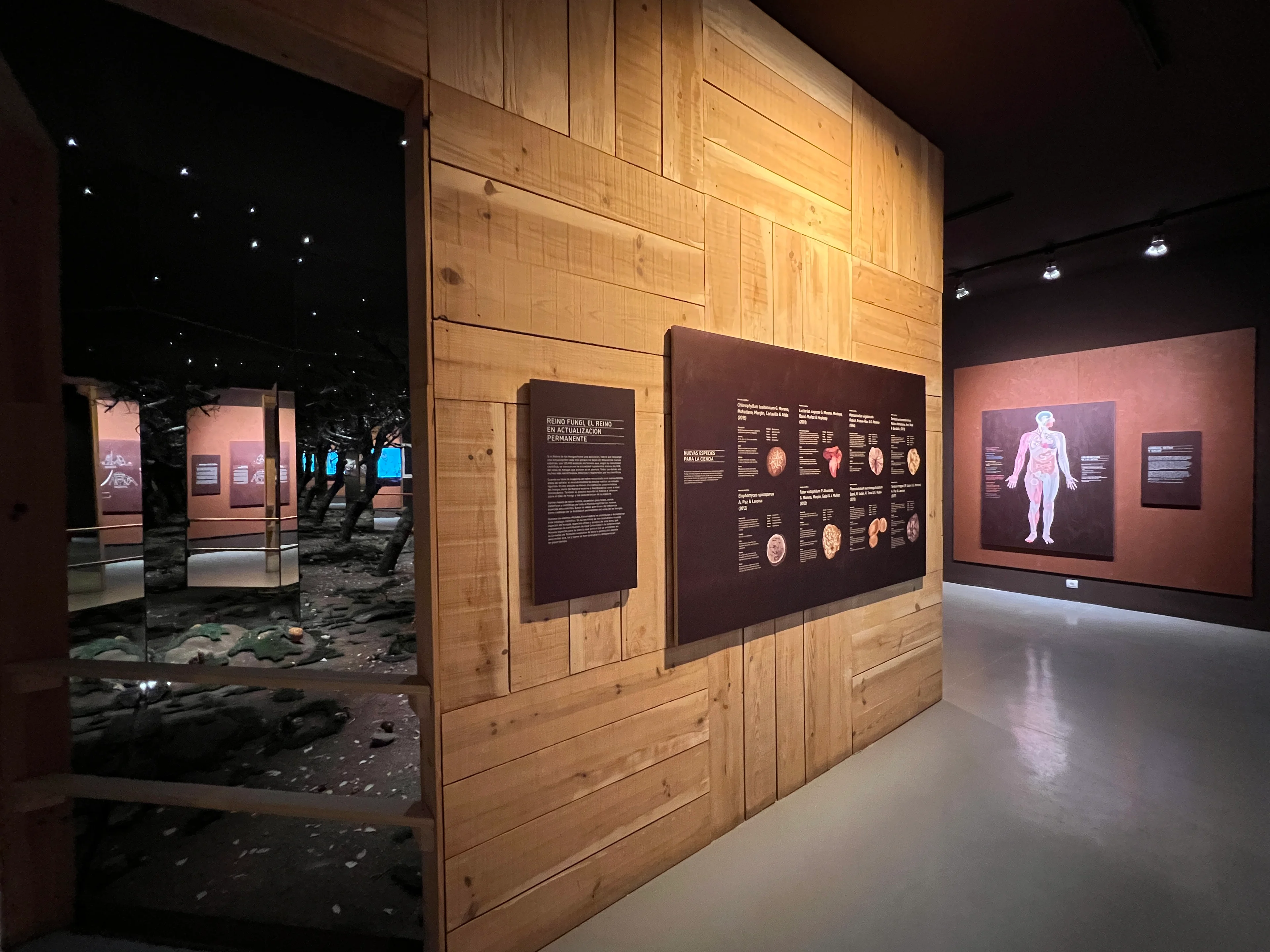 Impresión sobre madera y paneles divulgativos en el Museo Micológico de Tentudía